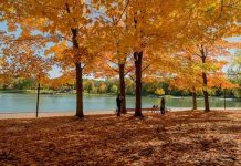 Tham khảo kinh nghiệm du lịch Canada mùa thu ngập sắc vàng lá phong
