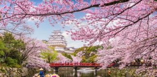 Chi phí du lịch Nhật Bản có đắt không, cần chuẩn bị bao nhiêu tiền?